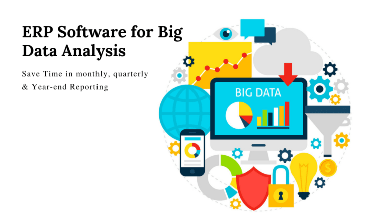 ERP Software for Big Data Analysis