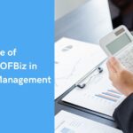 Role of Apache OFBiz in Accounts Management